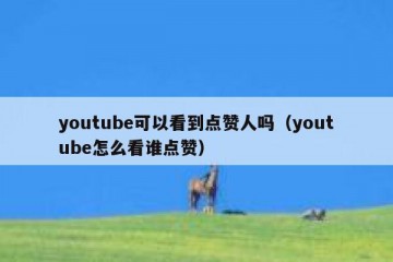 youtube可以看到点赞人吗（youtube怎么看谁点赞）