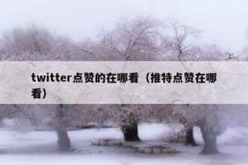 twitter点赞的在哪看（推特点赞在哪看）