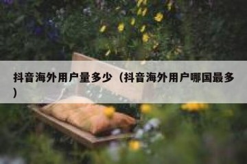 抖音海外用户量多少（抖音海外用户哪国最多）