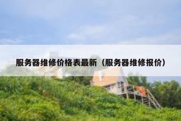 服务器维修价格表最新（服务器维修报价）