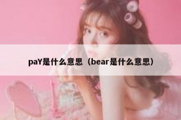 paY是什么意思（bear是什么意思）
