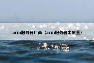 arm服务器厂商（arm服务器出货量）