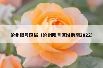 沧州限号区域（沧州限号区域地图2022）