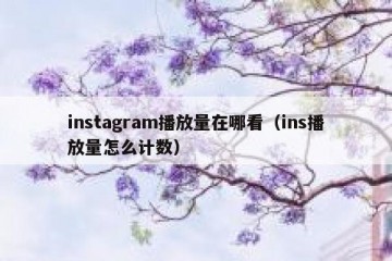 instagram播放量在哪看（ins播放量怎么计数）