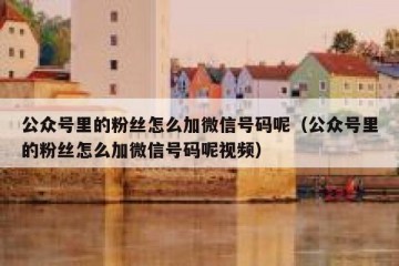 公众号里的粉丝怎么加微信号码呢（公众号里的粉丝怎么加微信号码呢视频）