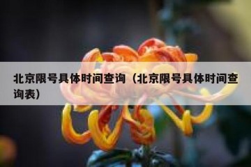 北京限号具体时间查询（北京限号具体时间查询表）