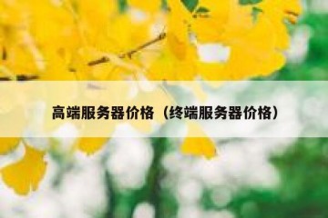 高端服务器价格（终端服务器价格）