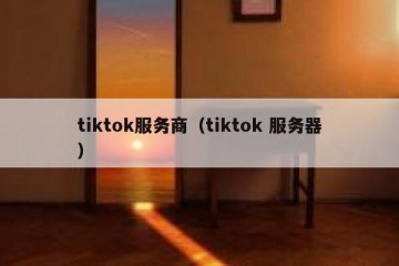 tiktok服务商（tiktok 服务器）