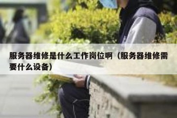 服务器维修是什么工作岗位啊（服务器维修需要什么设备）