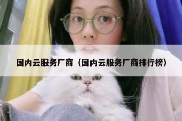 国内云服务厂商（国内云服务厂商排行榜）