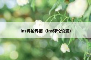ins评论界面（ins评论设置）