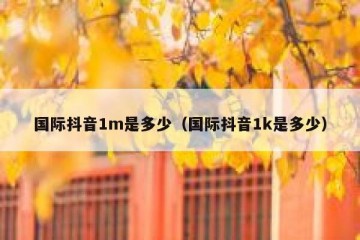 国际抖音1m是多少（国际抖音1k是多少）