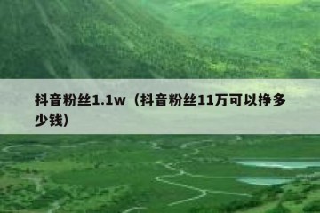 抖音粉丝1.1w（抖音粉丝11万可以挣多少钱）
