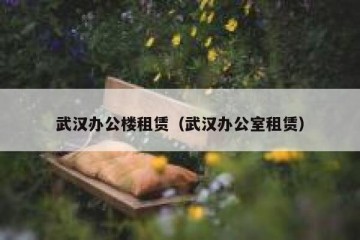 武汉办公楼租赁（武汉办公室租赁）