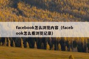 facebook怎么浏览内容（facebook怎么看浏览记录）