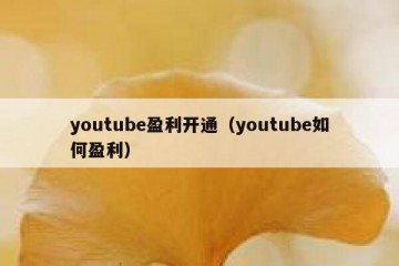 youtube盈利开通（youtube如何盈利）