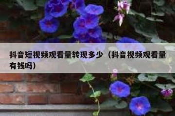 抖音短视频观看量转现多少（抖音视频观看量有钱吗）