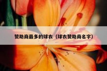 赞助商最多的球衣（球衣赞助商名字）