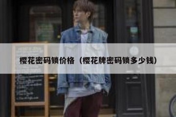 樱花密码锁价格（樱花牌密码锁多少钱）