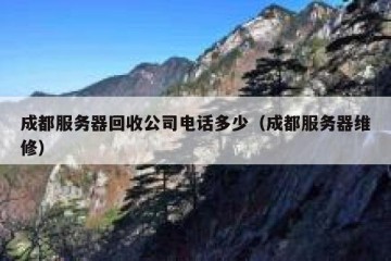 成都服务器回收公司电话多少（成都服务器维修）