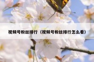 视频号粉丝排行（视频号粉丝排行怎么看）