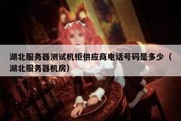湖北服务器测试机柜供应商电话号码是多少（湖北服务器机房）