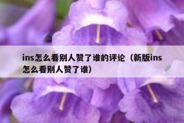ins怎么看别人赞了谁的评论（新版ins怎么看别人赞了谁）