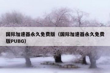 国际加速器永久免费版（国际加速器永久免费版PUBG）