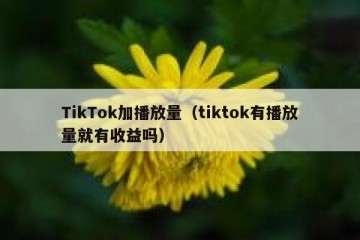 TikTok加播放量（tiktok有播放量就有收益吗）
