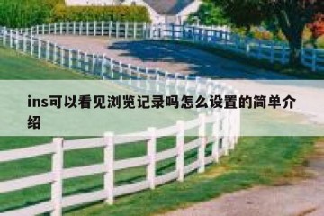 ins可以看见浏览记录吗怎么设置的简单介绍