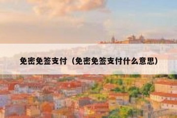 免密免签支付（免密免签支付什么意思）