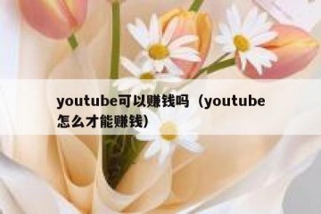 youtube可以赚钱吗（youtube怎么才能赚钱）