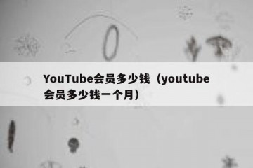 YouTube会员多少钱（youtube会员多少钱一个月）