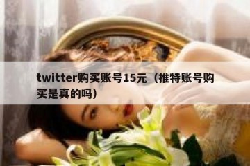 twitter购买账号15元（推特账号购买是真的吗）