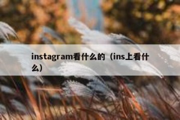instagram看什么的（ins上看什么）