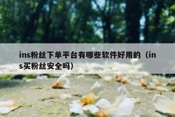 ins粉丝下单平台有哪些软件好用的（ins买粉丝安全吗）