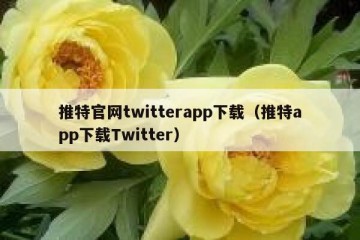 推特官网twitterapp下载（推特app下载Twitter）