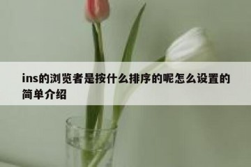 ins的浏览者是按什么排序的呢怎么设置的简单介绍