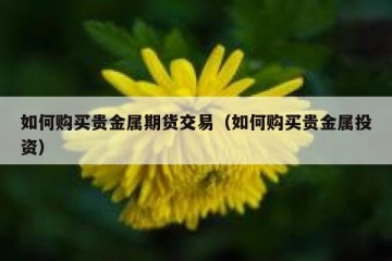 如何购买贵金属期货交易（如何购买贵金属投资）