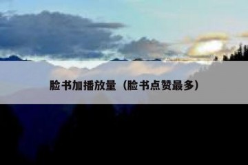 脸书加播放量（脸书点赞最多）