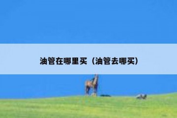 油管在哪里买（油管去哪买）