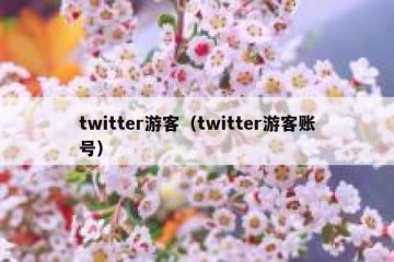 twitter游客（twitter游客账号）
