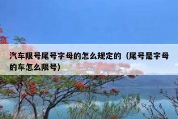 汽车限号尾号字母的怎么规定的（尾号是字母的车怎么限号）