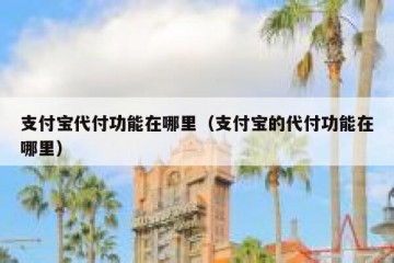 支付宝代付功能在哪里（支付宝的代付功能在哪里）