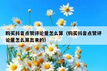 购买抖音点赞评论量怎么算（购买抖音点赞评论量怎么算出来的）