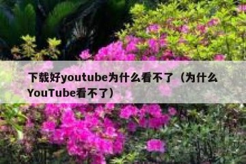 下载好youtube为什么看不了（为什么YouTube看不了）