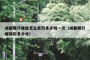 成都限行被拍怎么处罚多少钱一次（成都限行被拍扣多少分）