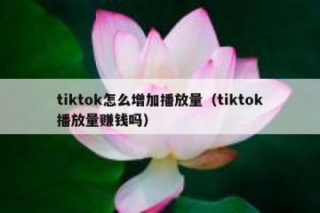 tiktok怎么增加播放量（tiktok播放量赚钱吗）