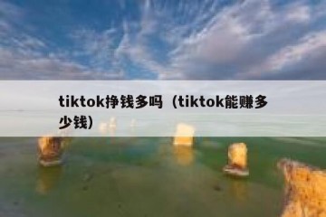 tiktok挣钱多吗（tiktok能赚多少钱）