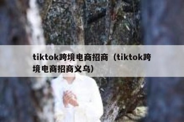 tiktok跨境电商招商（tiktok跨境电商招商义乌）